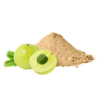 Amla Powder