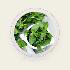 Menthol