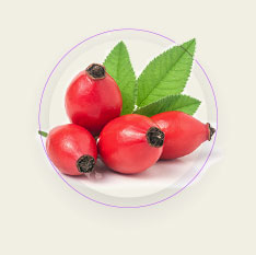 ROSE HIP OIL