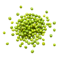 Pea Protein