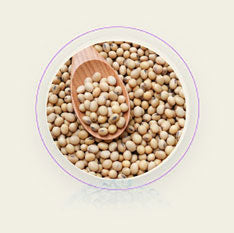 Natural Plant Extracts